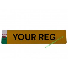 NUMBER PLATE REAR WITH WELSH FLAG IDENTIFIER DRAGON 